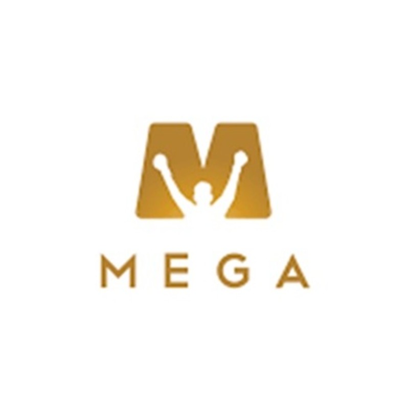 MEGA CAREER INSTITUTE logo